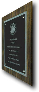NLG award